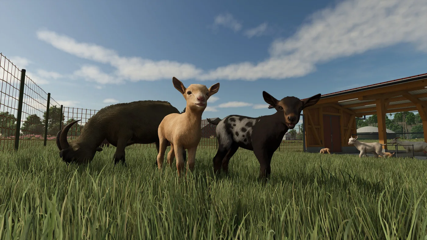 Farming Simulator 25 田地作業