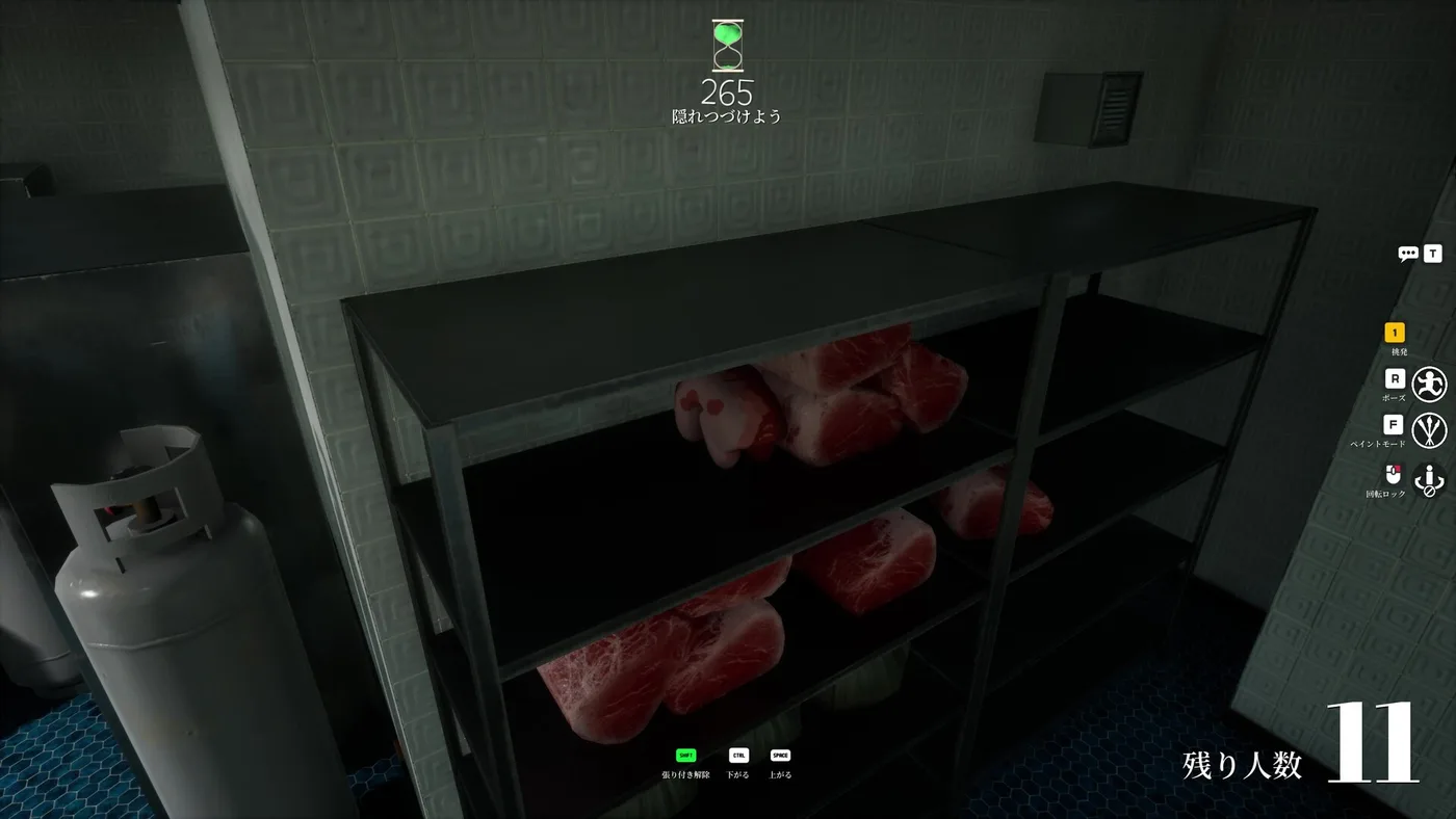 MECCHA CHAMELEON hiding inside shelf screenshot
