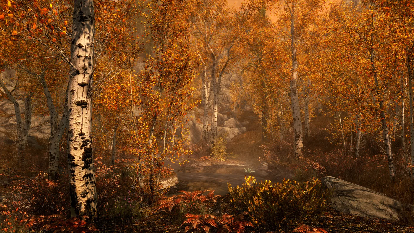 Skyrim 戰鬥與古代遺跡