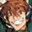 《Sengoku Rance》的角色與事件畫面